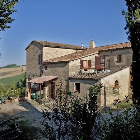Agriturismo Podere Olivello In Val D'Orcia Montalcino Exterior photo