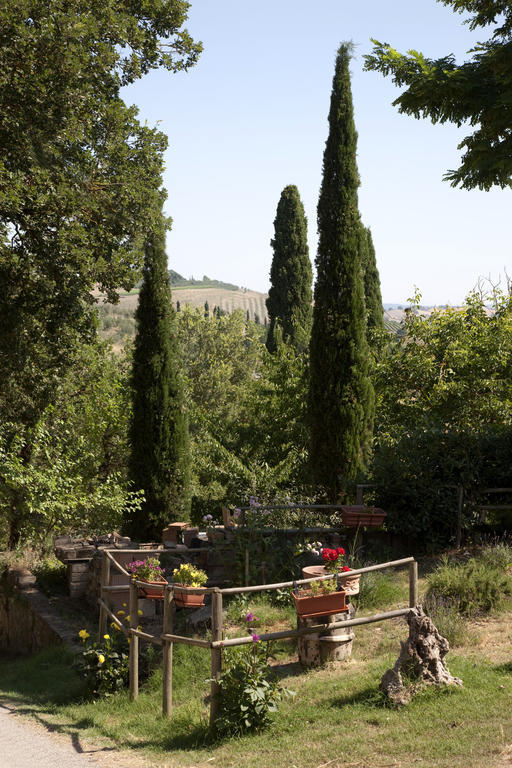 Agriturismo Podere Olivello In Val D'Orcia Montalcino Exterior photo