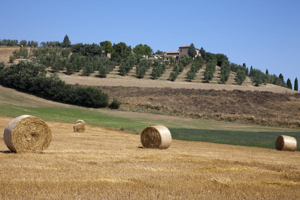 Agriturismo Podere Olivello In Val D'Orcia Montalcino Exterior photo